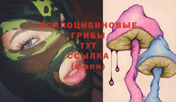 не бодяженный Богородск