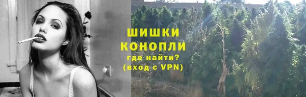 прущая мука Богданович