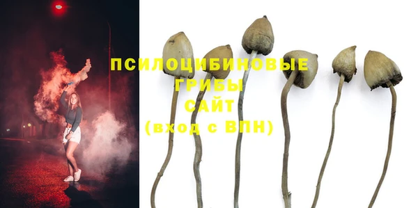 не бодяженный Богородск