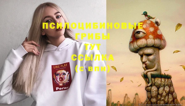 не бодяженный Богородск